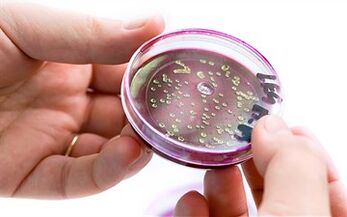 前列腺分泌物中的细菌